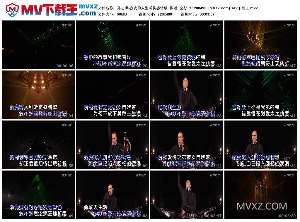孙艺琪-寂寞的人别听伤感情歌_国语_流行_YE200495